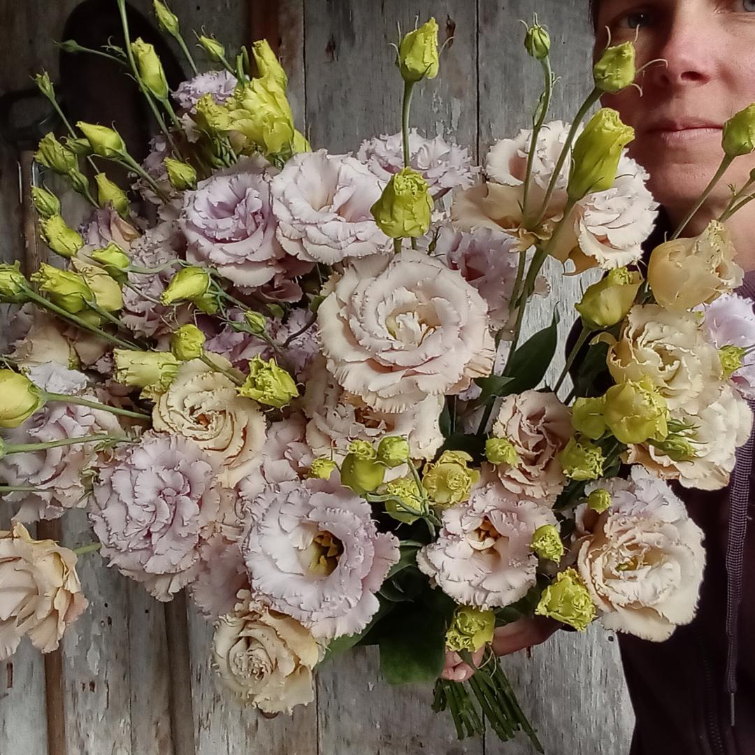 Lisianthus fleurs locales