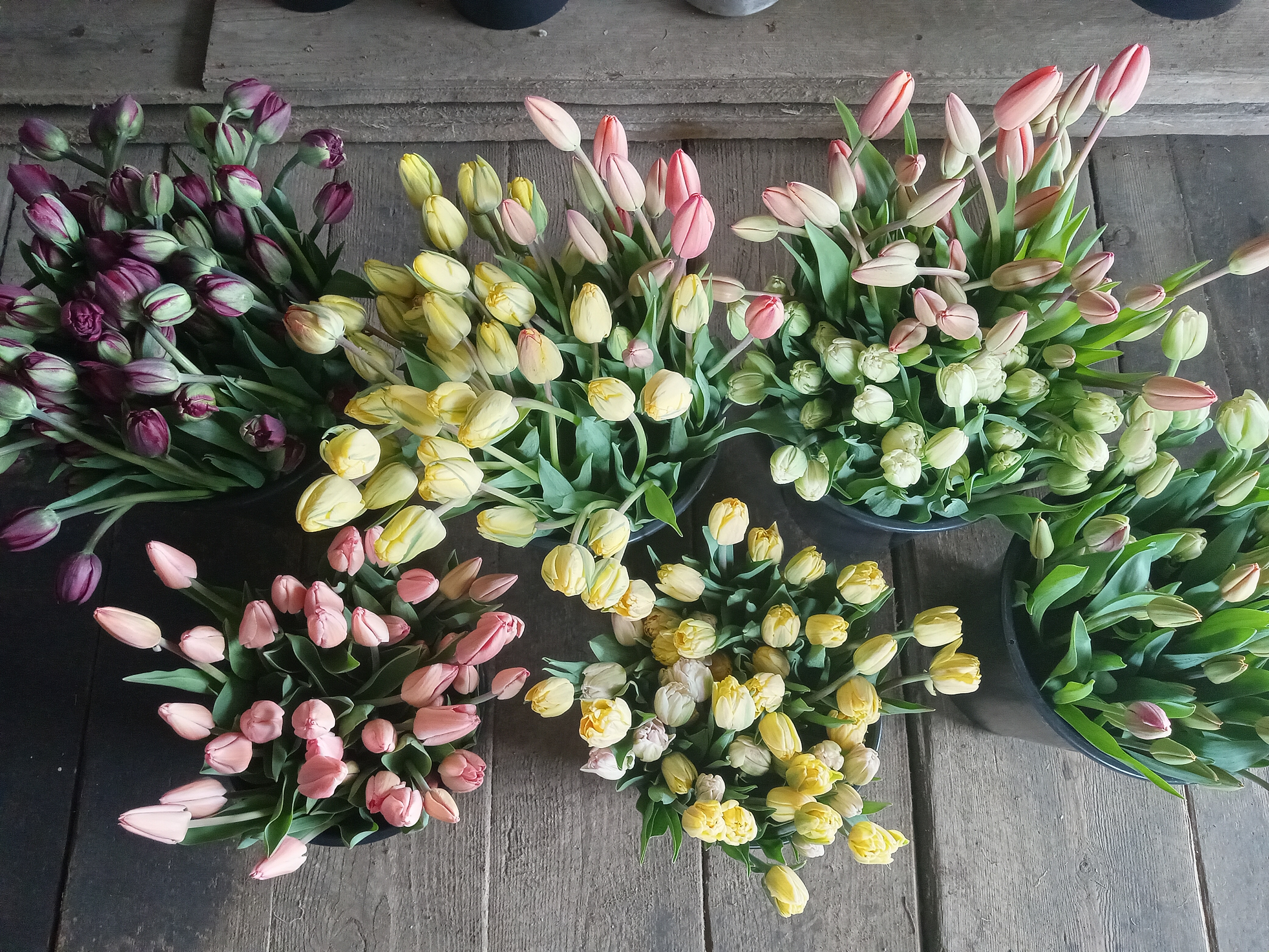 Bouquet anniversaire dahlias fleurs locales