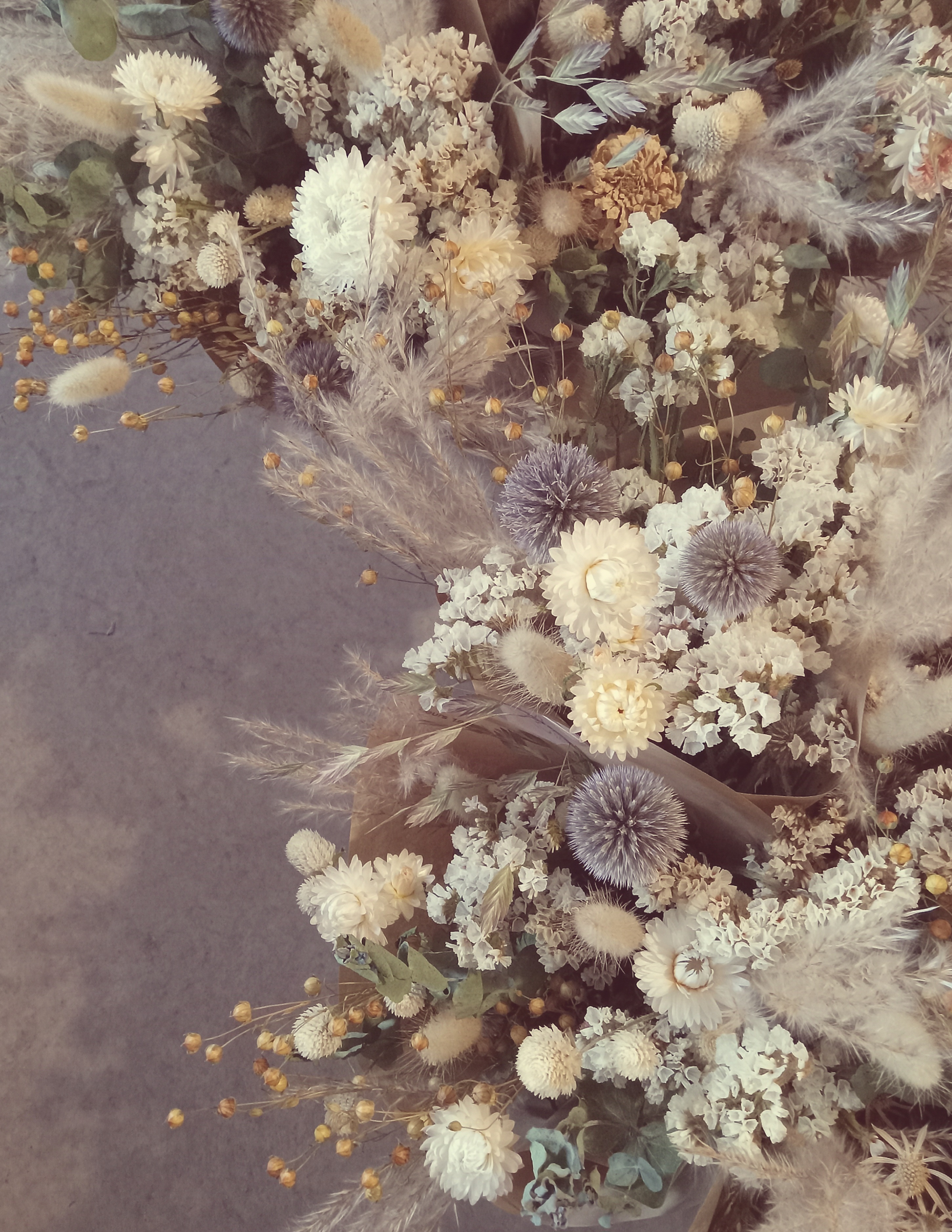 Fleurs séchées miscanthus