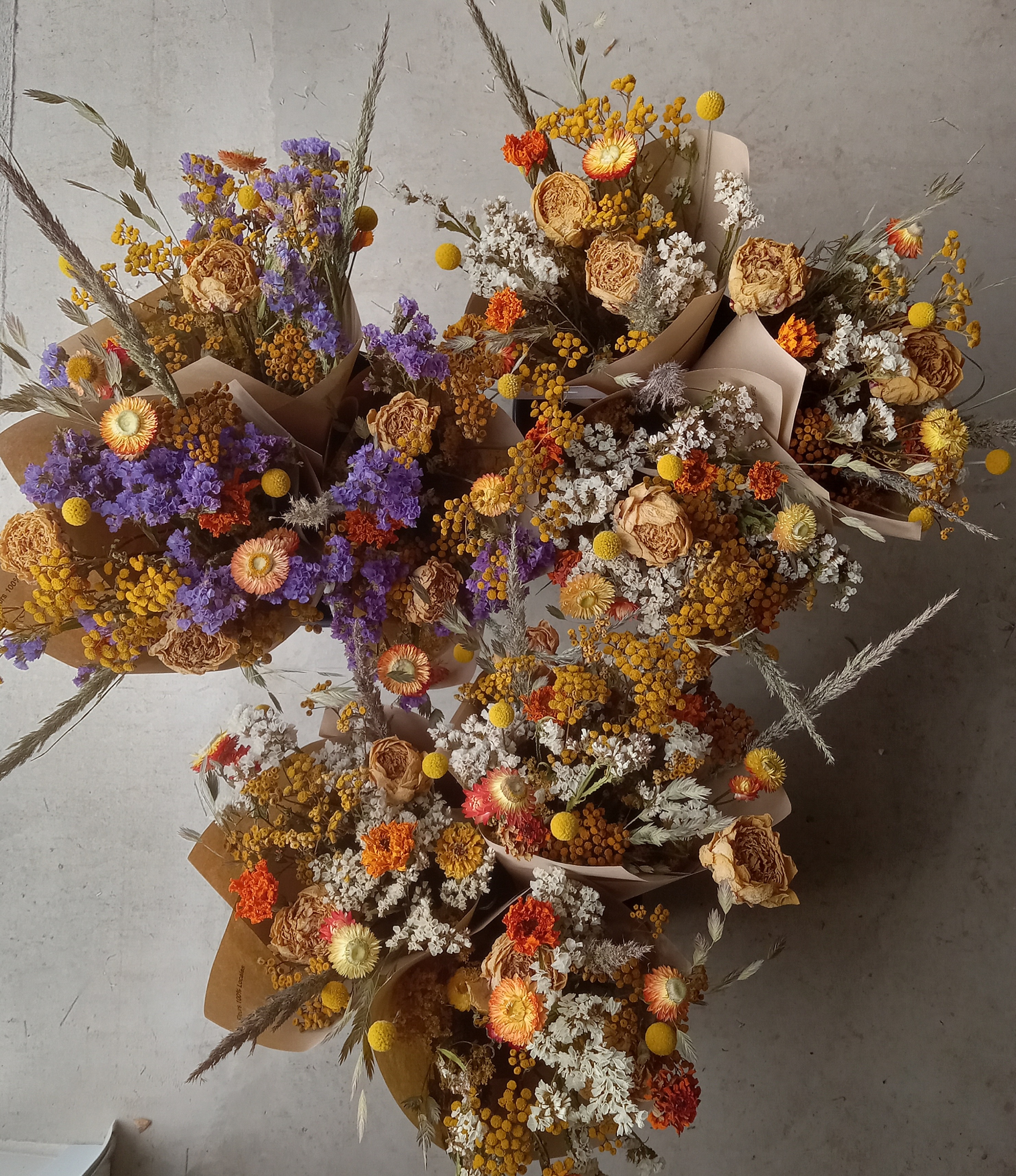 Fleurs séchées miscanthus