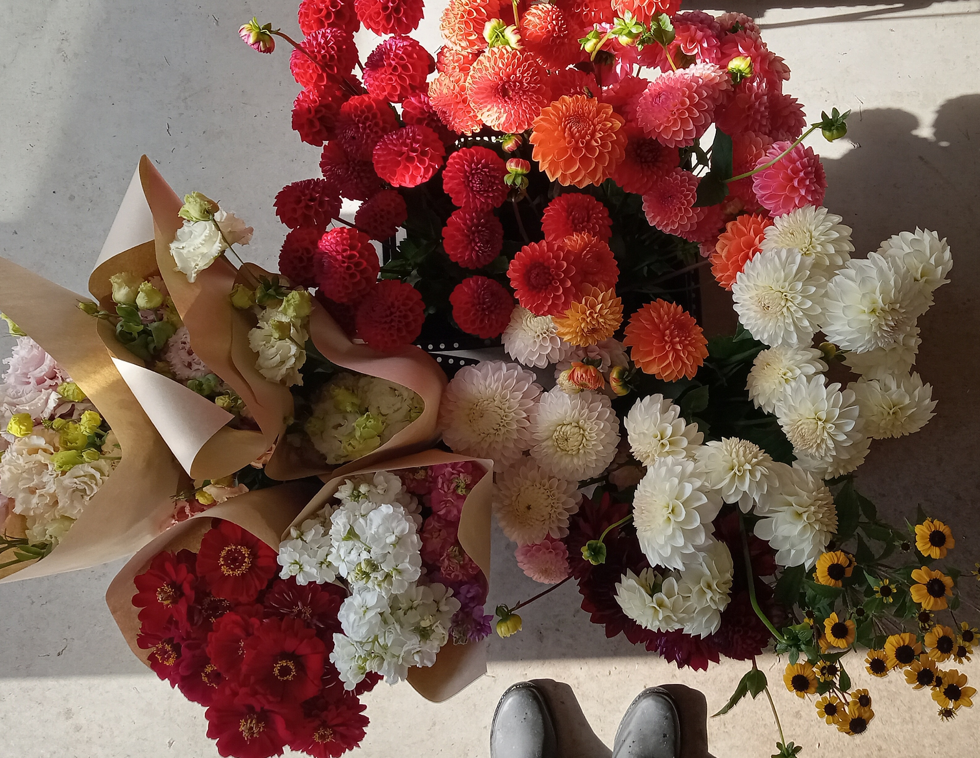 Fleurs locales vrac lisianthus dahlias