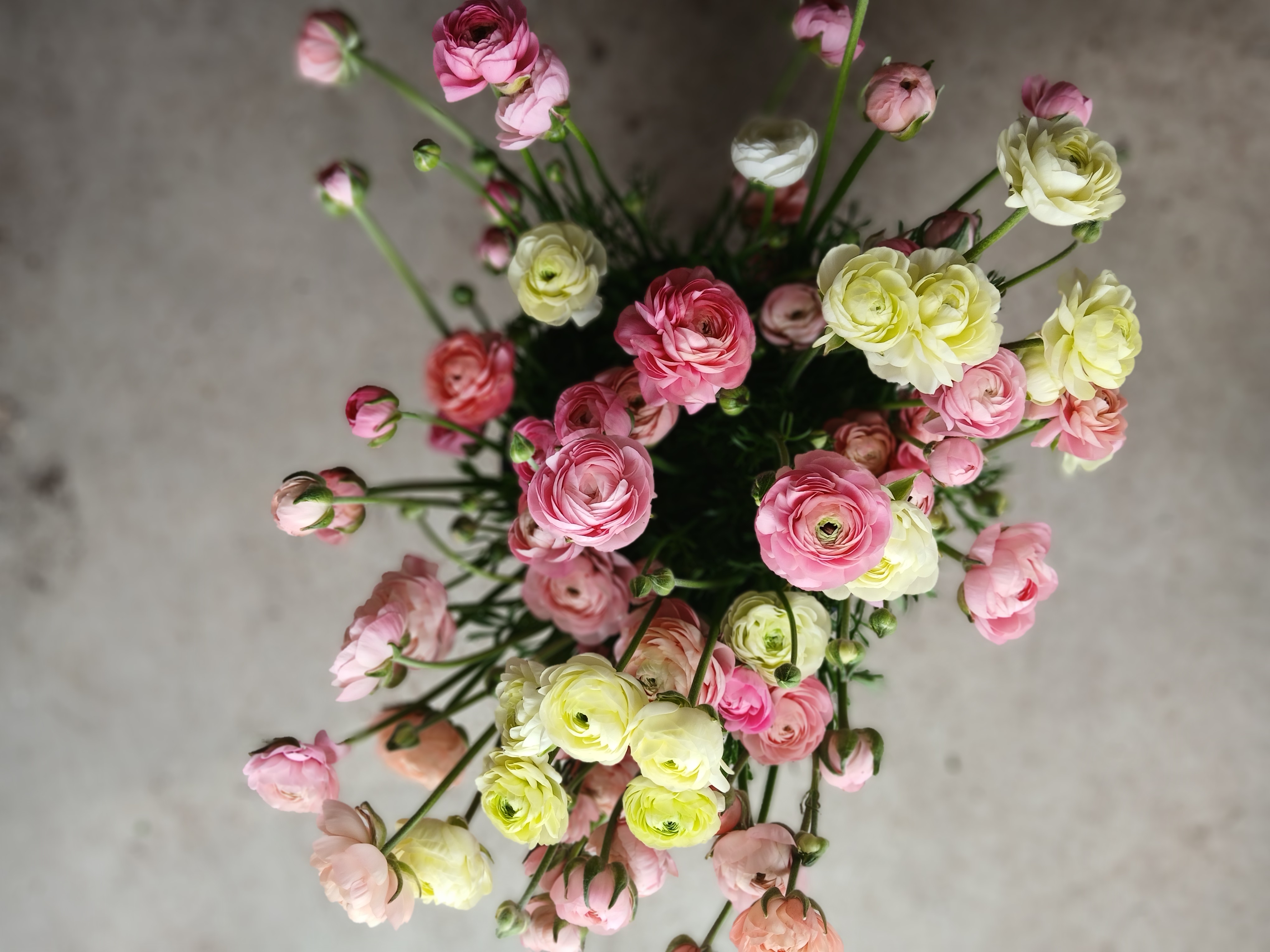 Bouquets fleurs locales pivoines