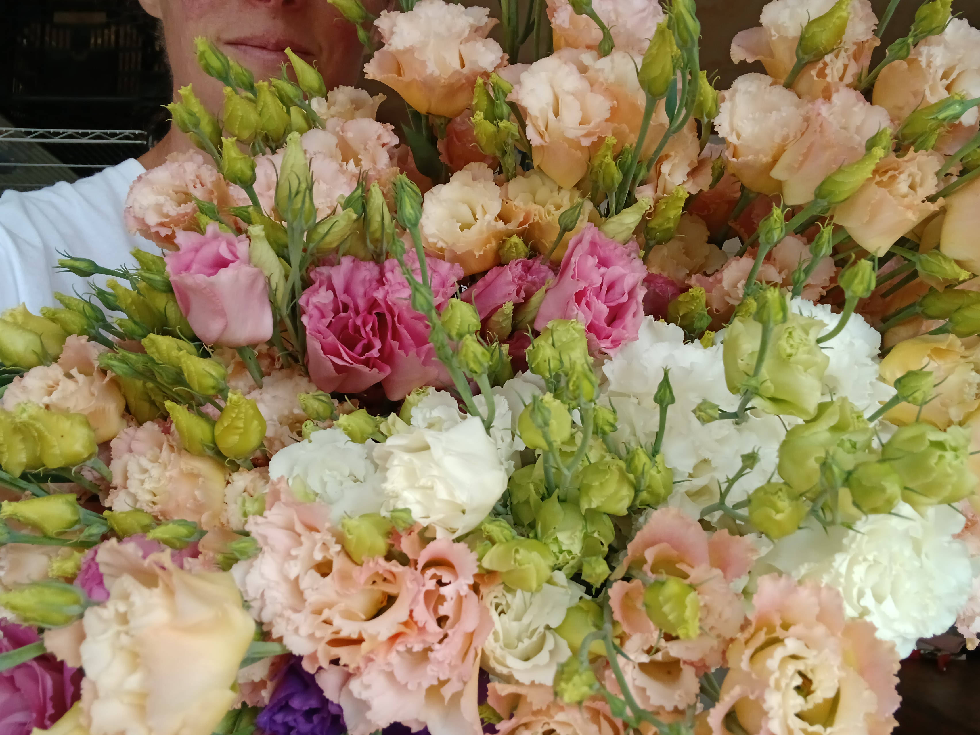 Lisianthus fleurs locales