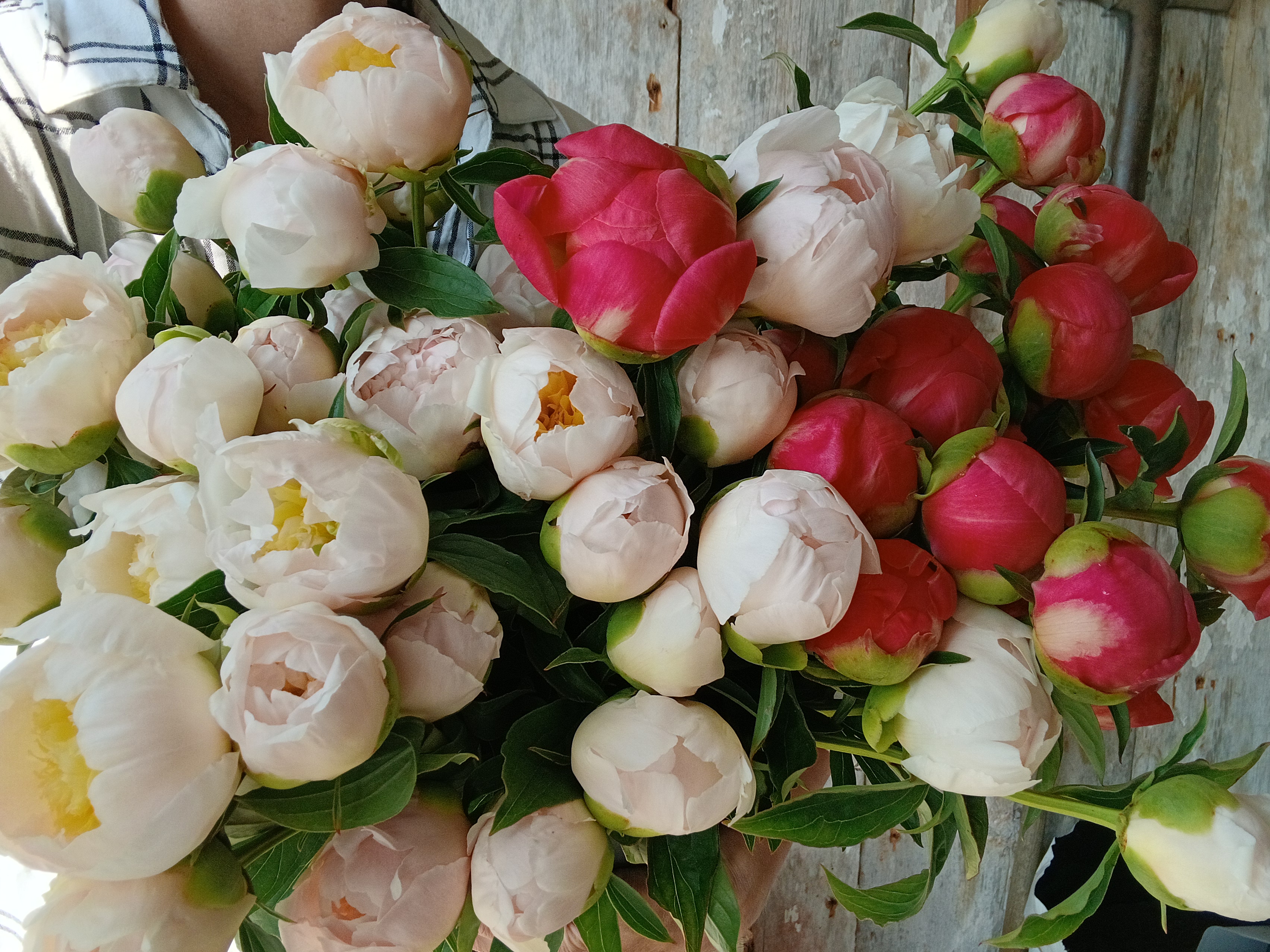 Bouquets fleurs locales pivoines